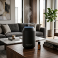 The LUX Stone Diffuser